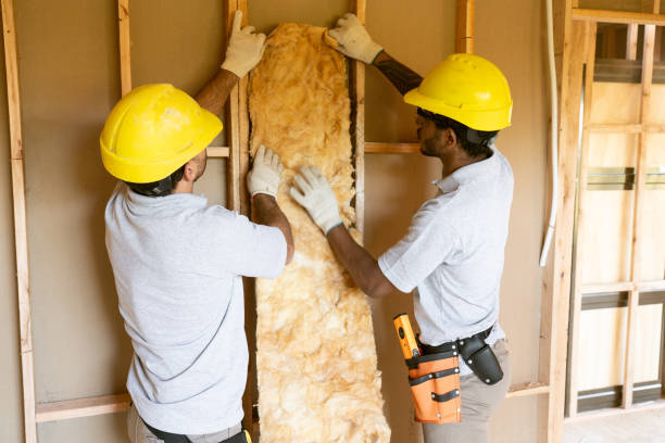 Best Attic Insulation Installation  in Belmont, WI